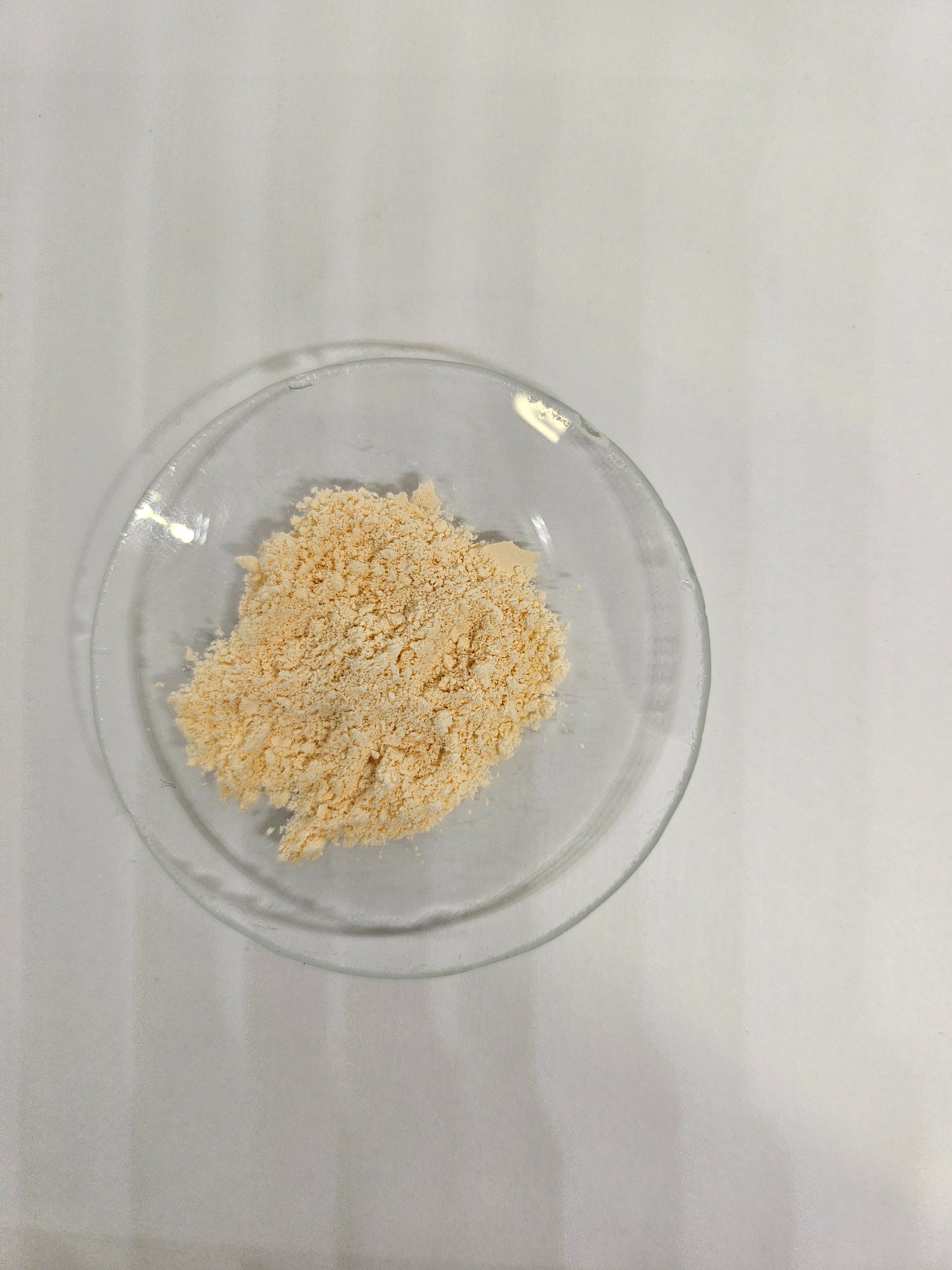 PhytoSource spray-dried cantaloupe powder